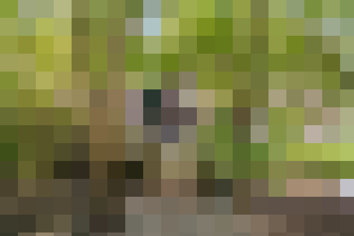Image 23