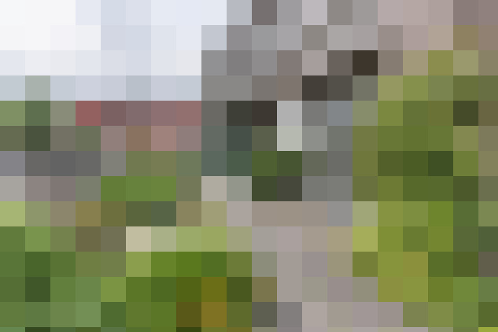 Image 31