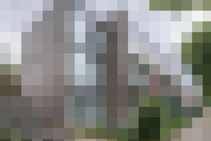 Image 26