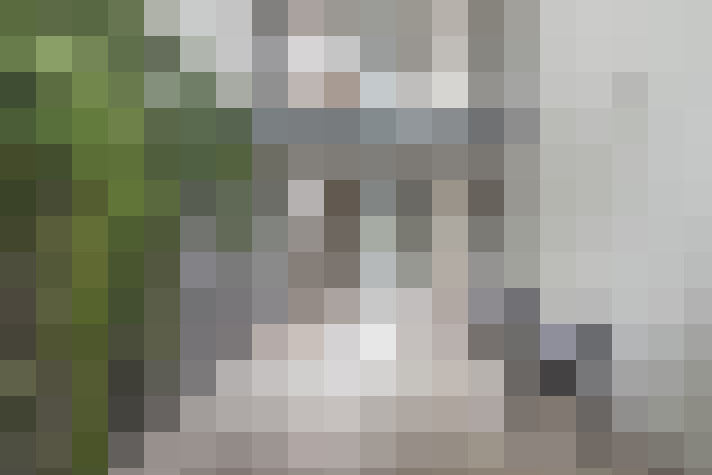 Image 24