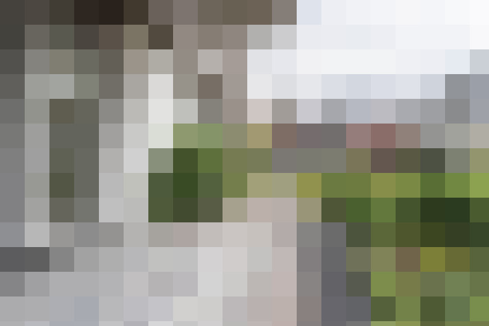 Image 29