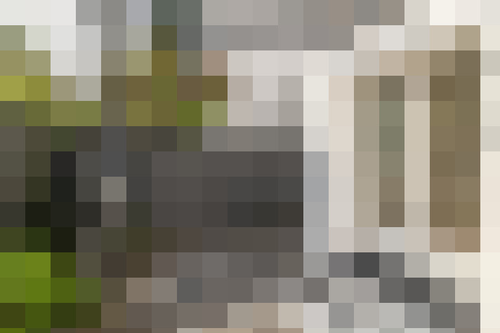 Image 13