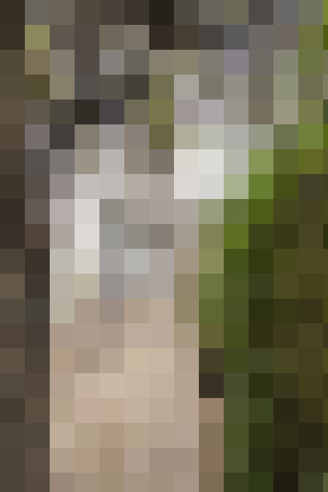 Image 24