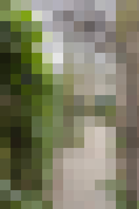 Image 23