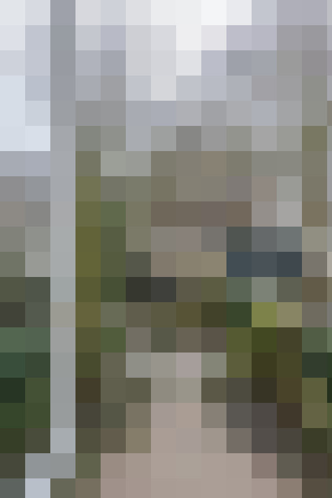 Image 29
