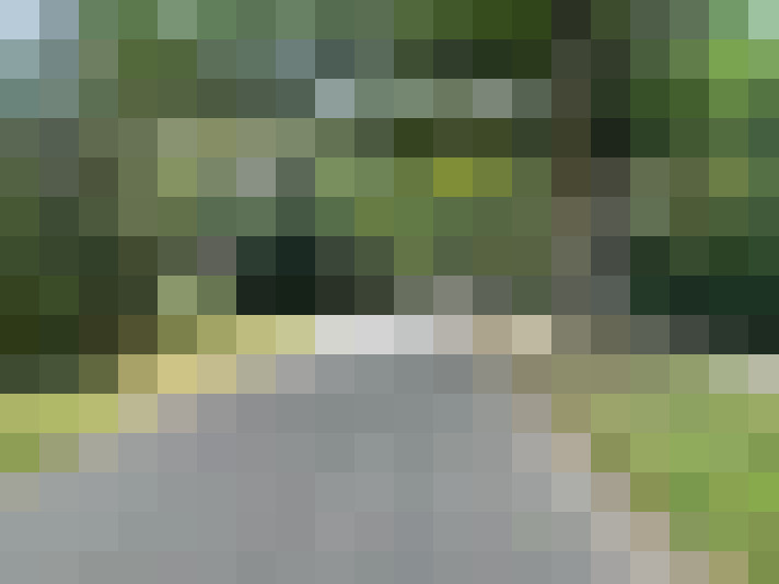 Image 28