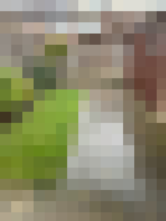 Image 25