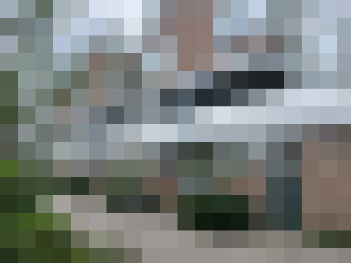 Image 13