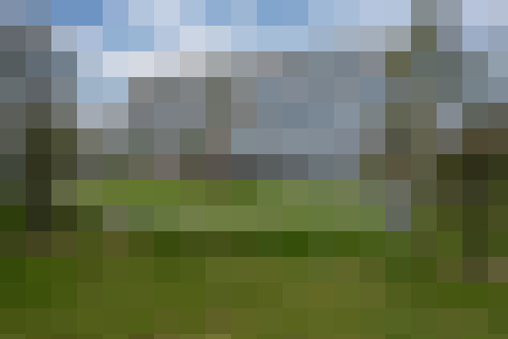 Image 36