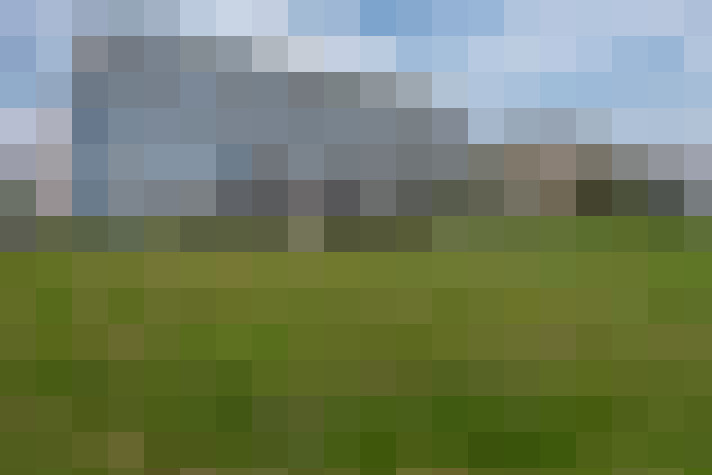 Image 41