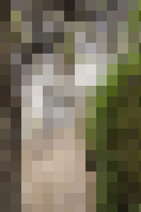 Image 24