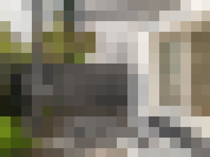 Image 13