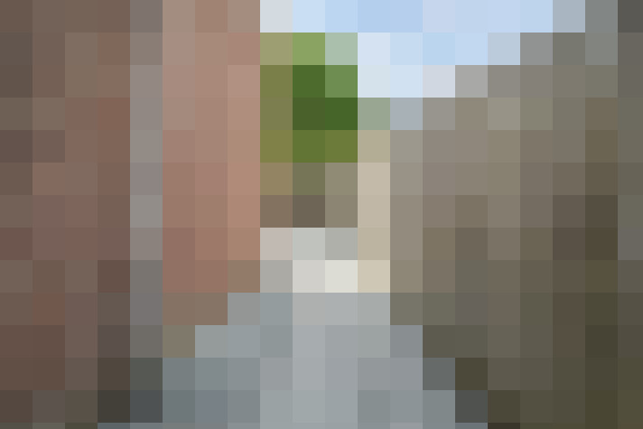 Image 41