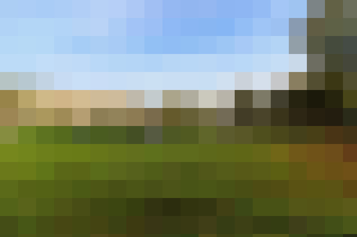 Image 24