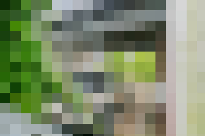Image 40