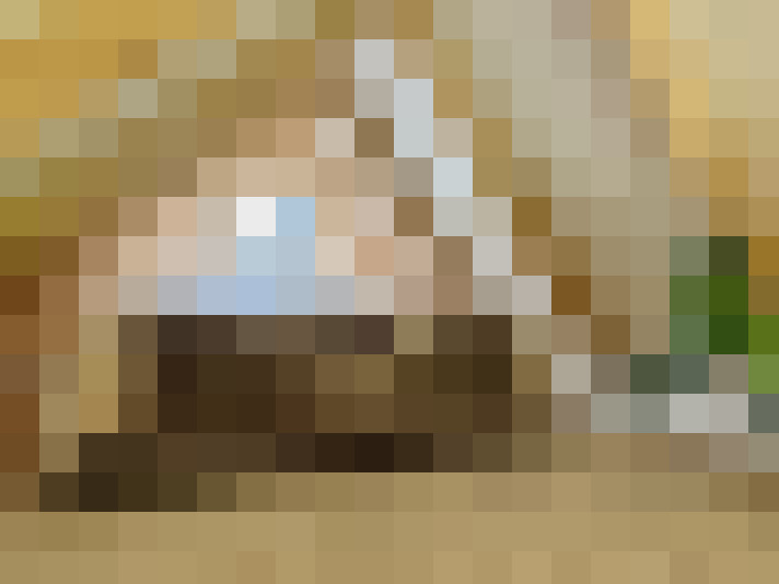 Image 41