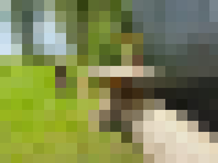 Image 45