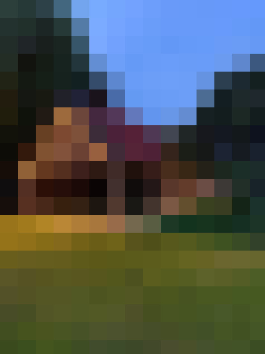 Image 39