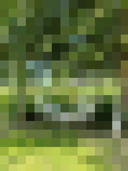 Image 37