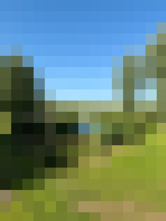 Image 38