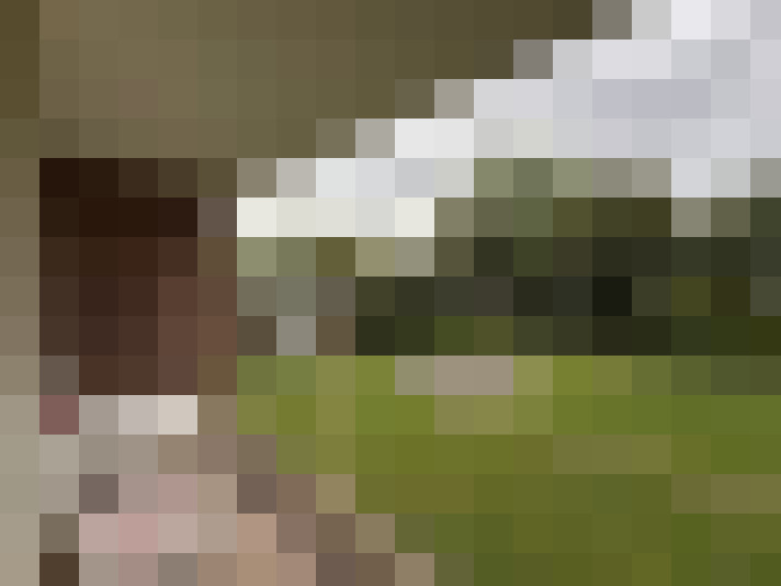 Image 16