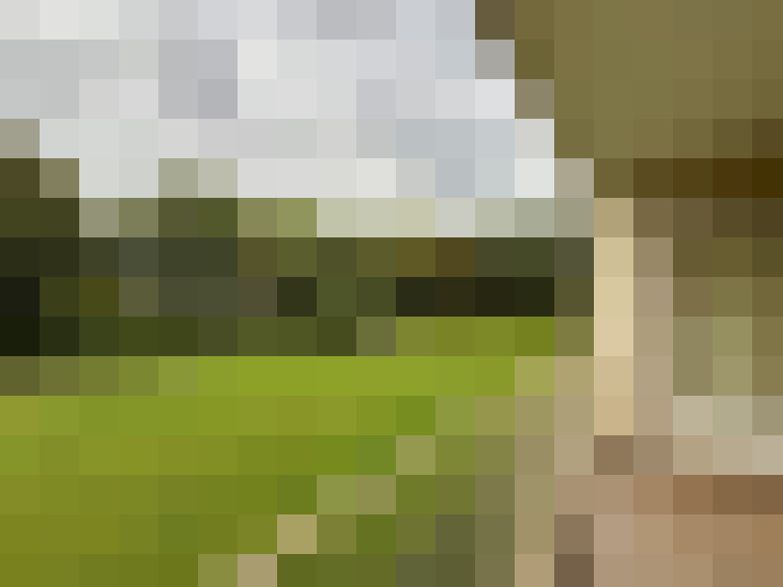 Image 17