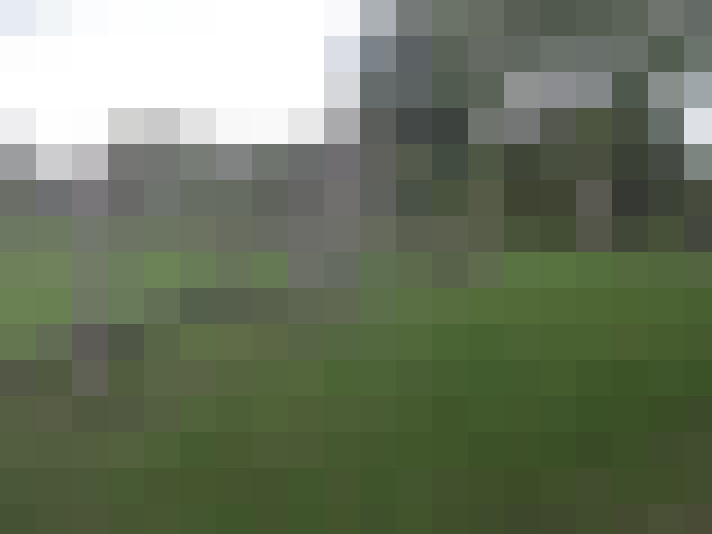 Image 23
