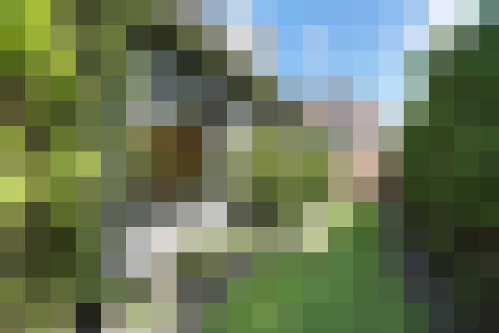 Image 32