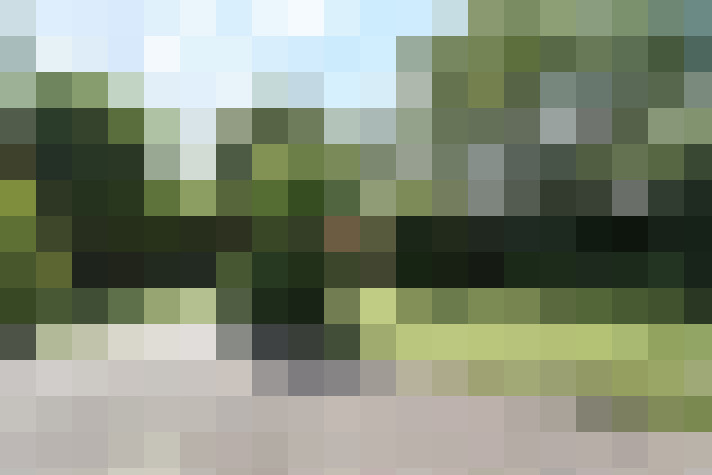 Image 30