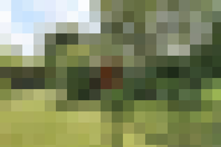 Image 31