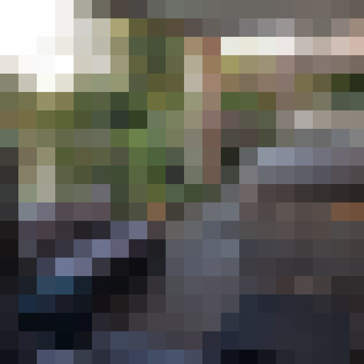 Image 13