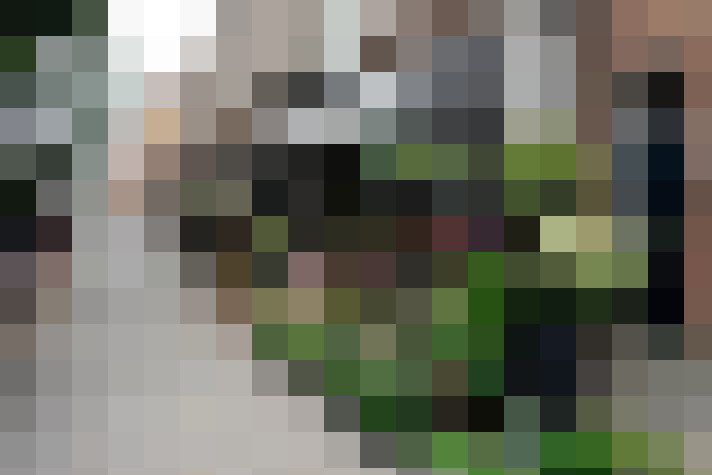 Image 30