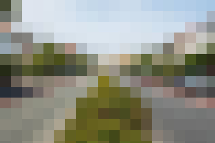 Image 32