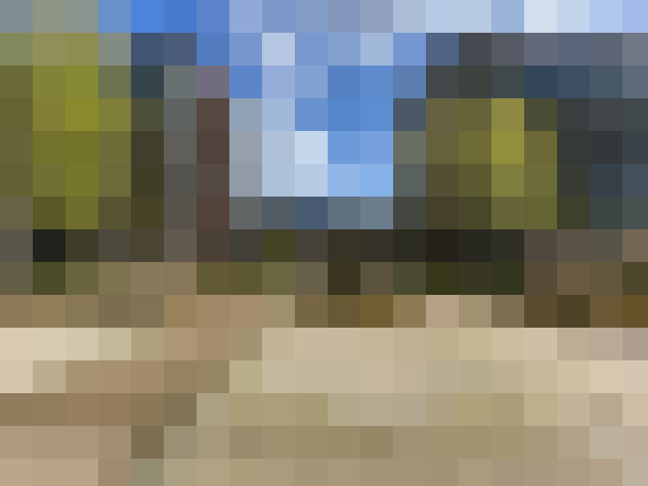 Image 24
