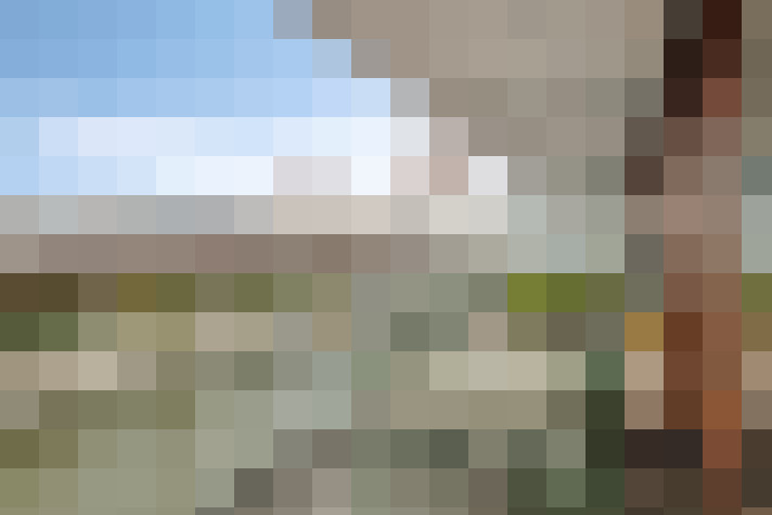 Image 23