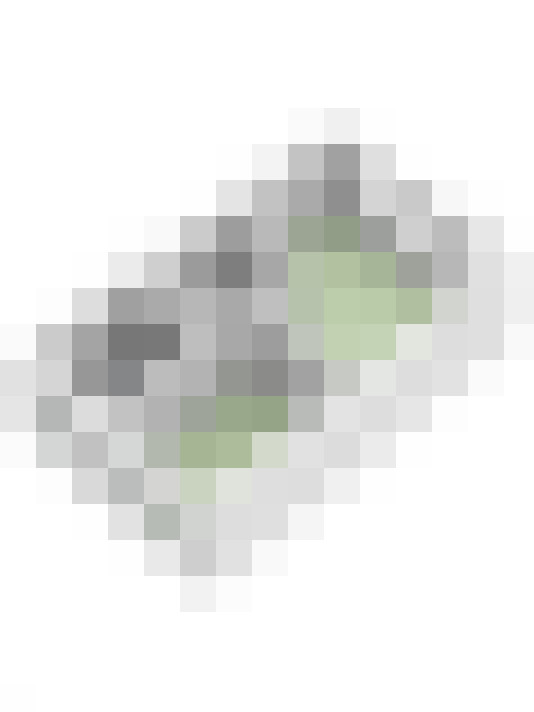 Image 29