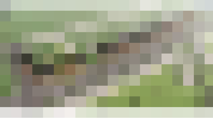 Image 44