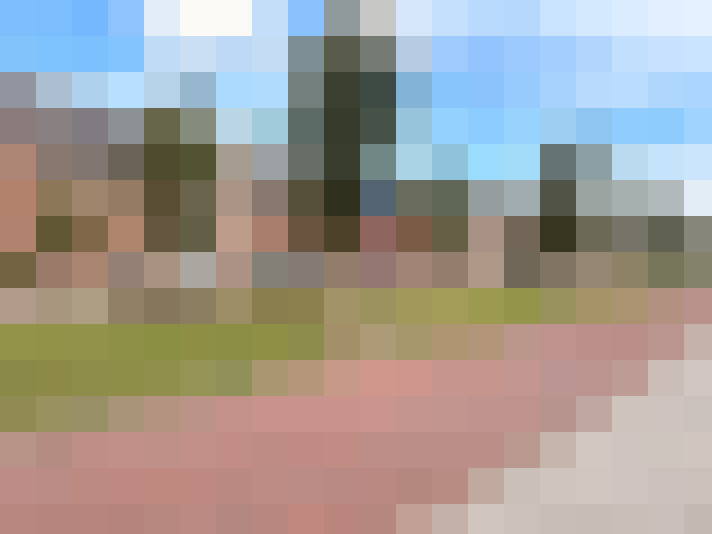 Image 49