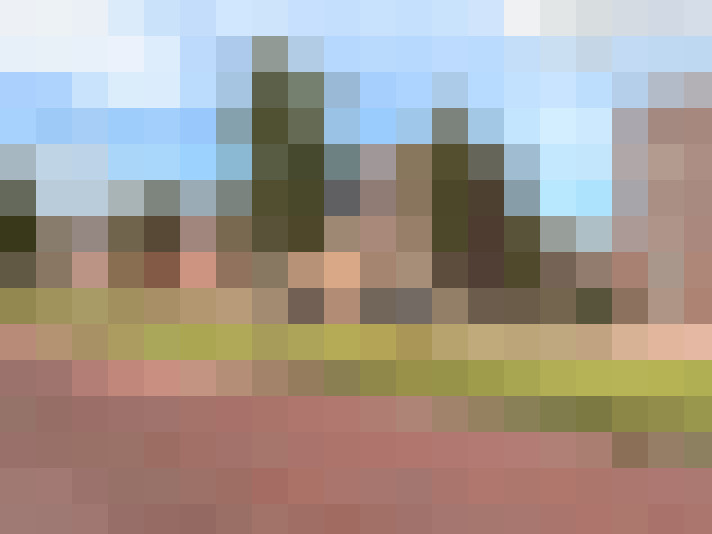 Image 50