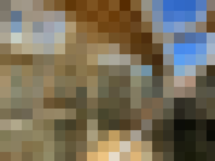 Image 20