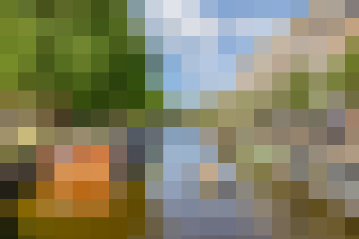Image 20