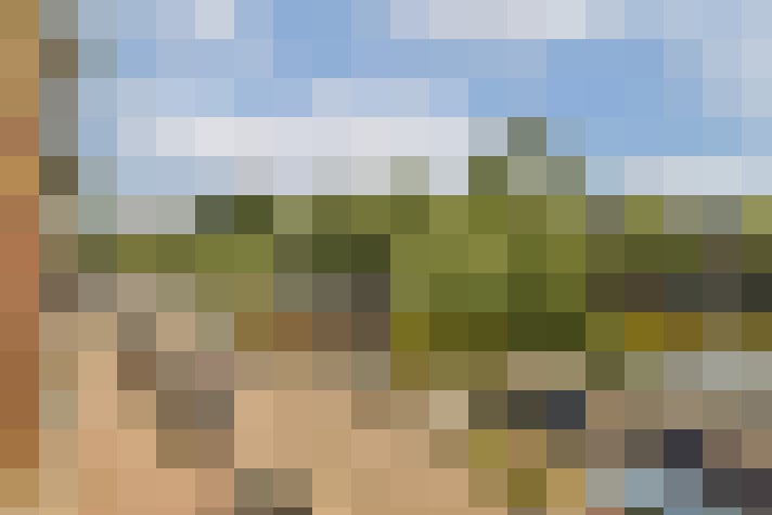 Image 22