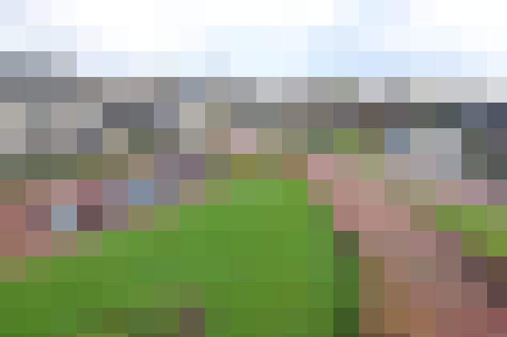 Image 23