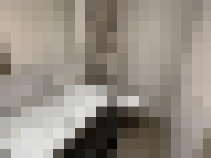  / #18