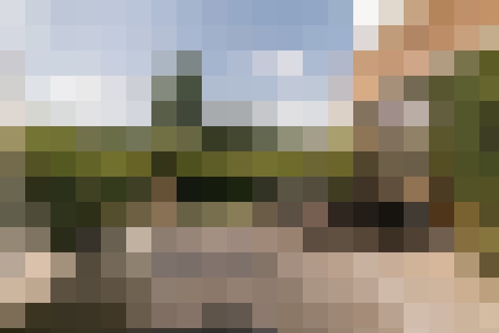 Image 20