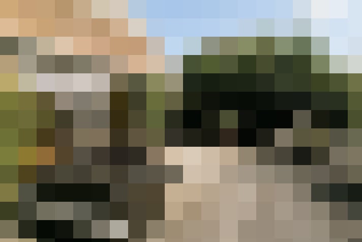 Image 21