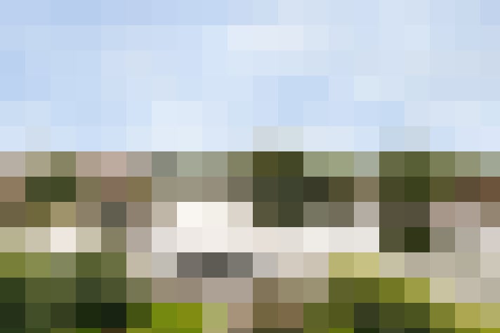 Image 24