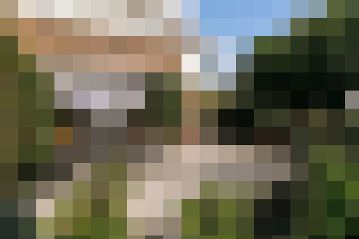 Image 22