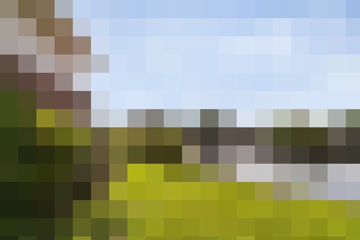 Image 23