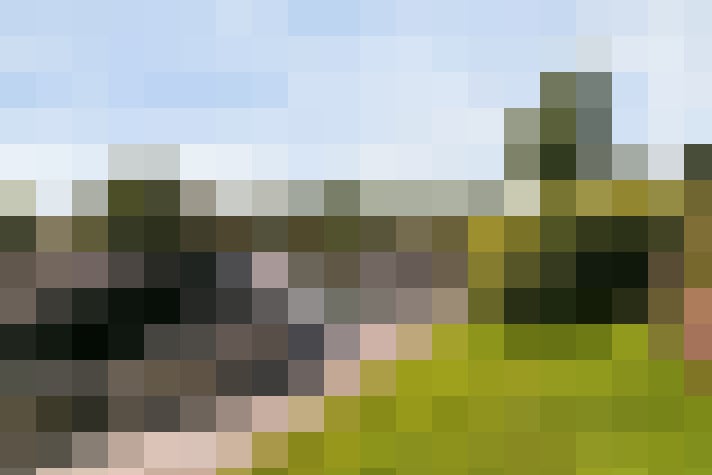 Image 25